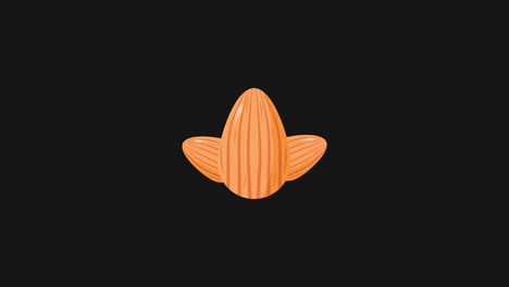 Almond-Nuts-icon-motion-graphic-animation-video-with-Alpha-Channel,-transparent-background.